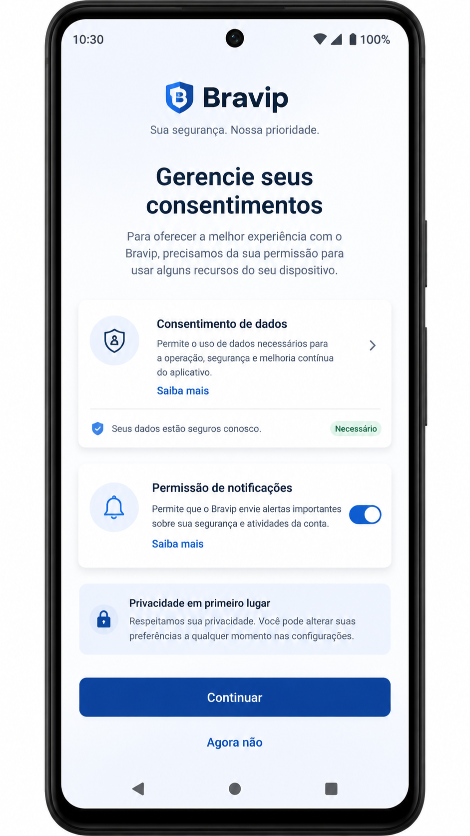 Bravip screenshot